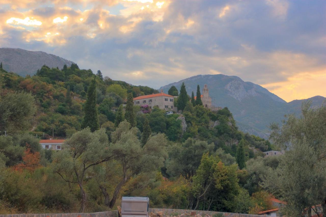 Apartments Viktorija Petrovac Екстер'єр фото